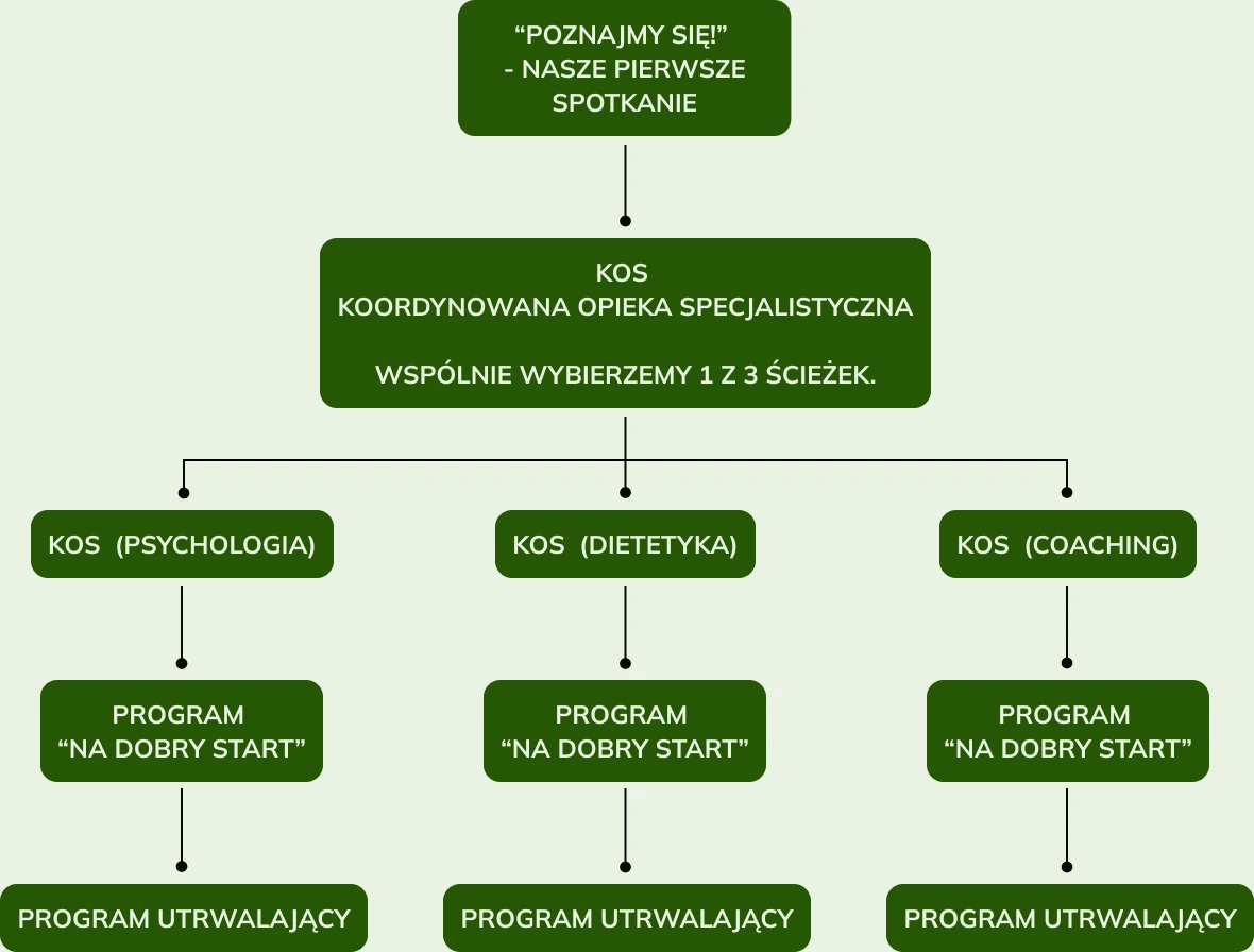 Karmimy Myśli Schemat
