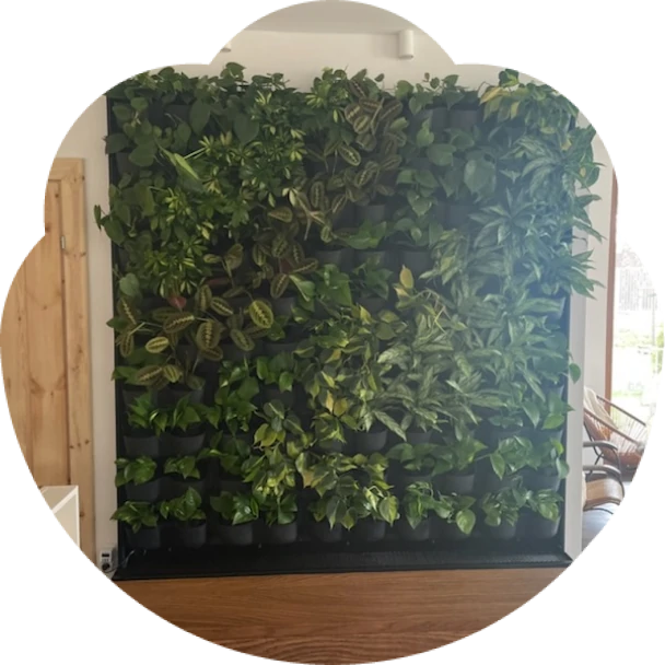 Zobacz, jak wygląda nasza poradnia!