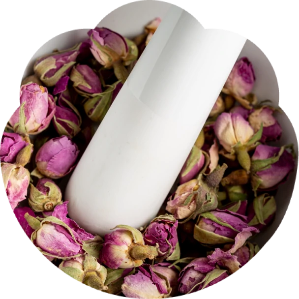 Warsztat: Kwiaty jadalne  w Twojej kuchni –  od dekoracji do zdrowia